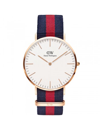 Mountain fox - Vector graphics